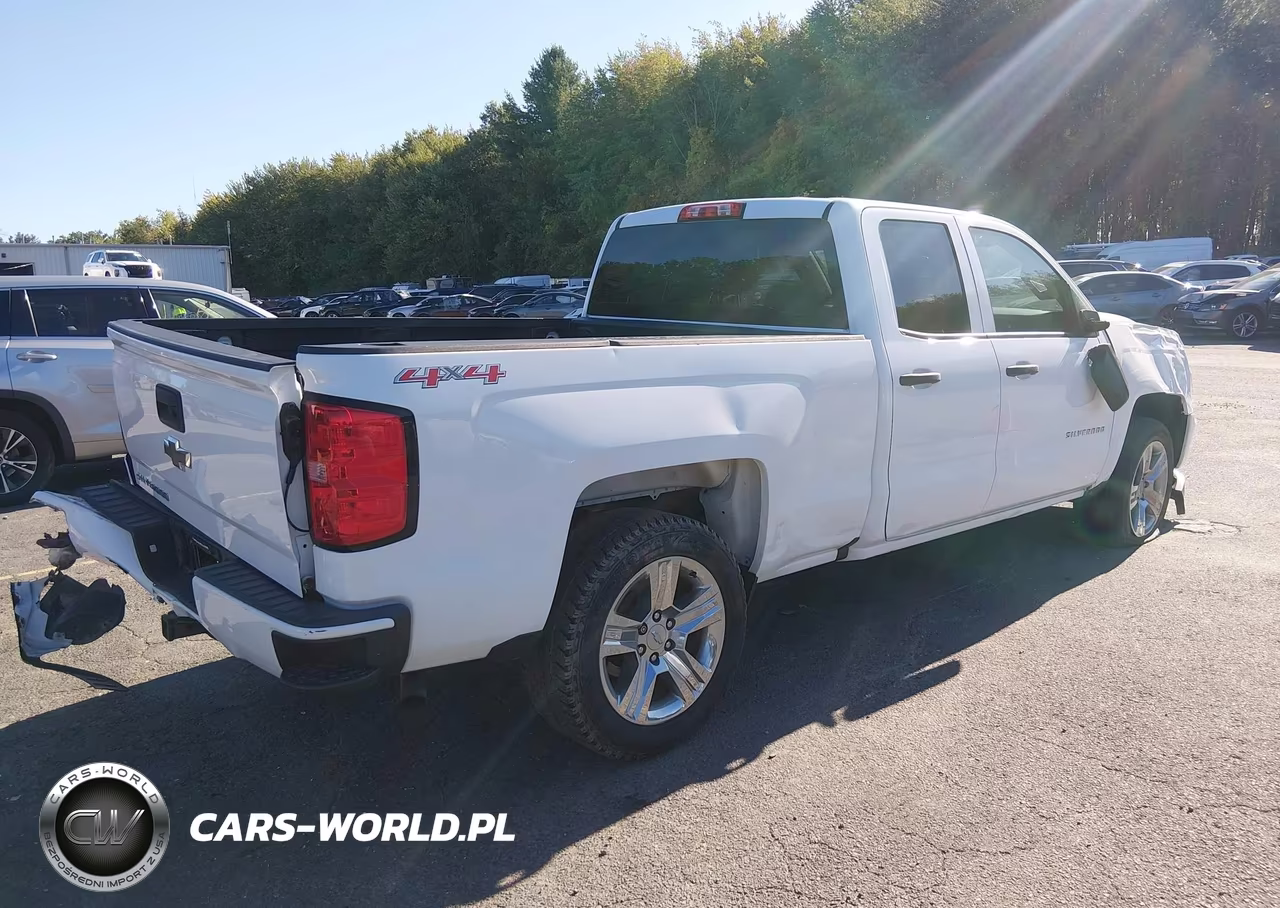 2017 Chevrolet Silverado 1500 Custom VIN:1GCVKPEC4HZ226738 - 4