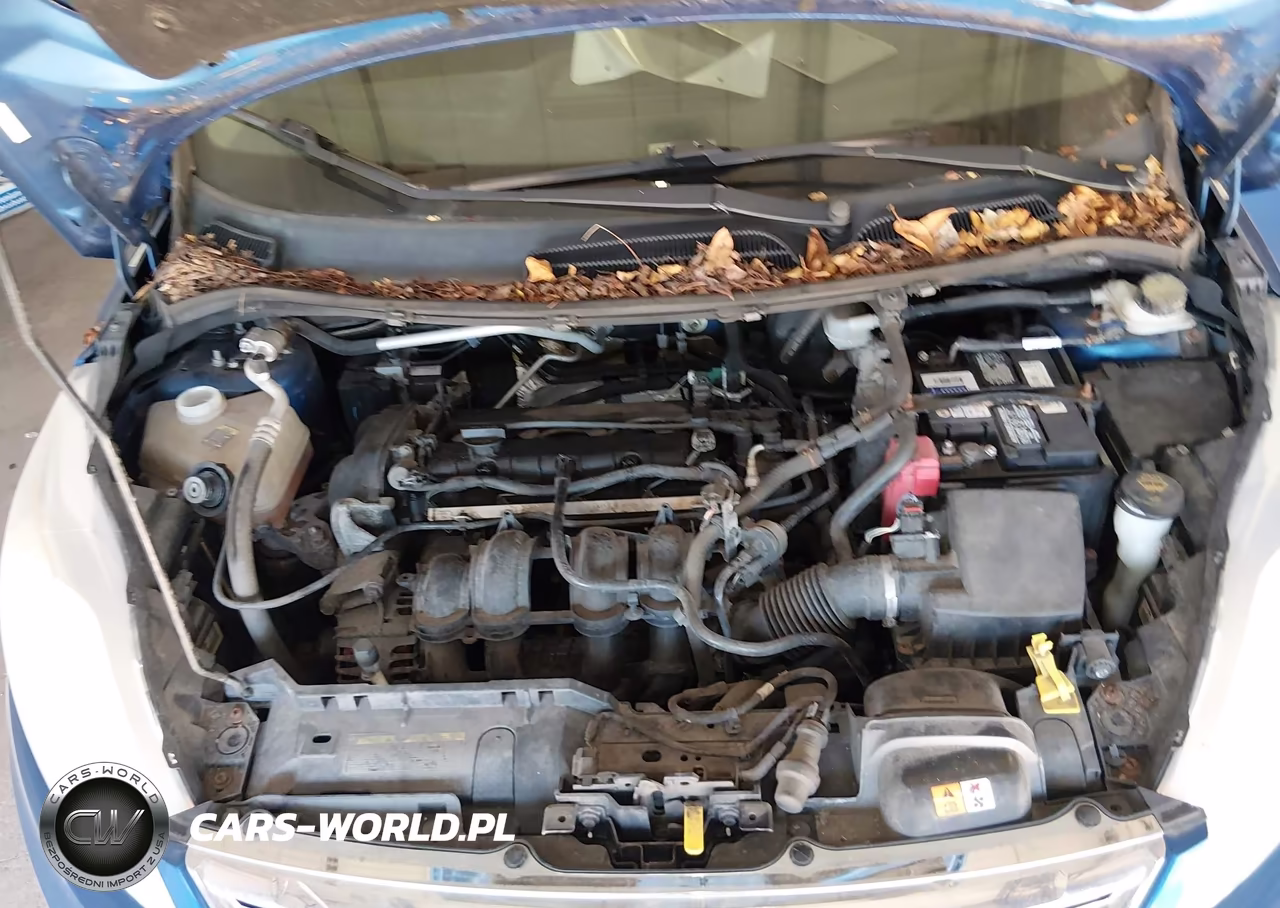 2011 Ford Fiesta Sel VIN:3FADP4CJ0BM209916 - 10