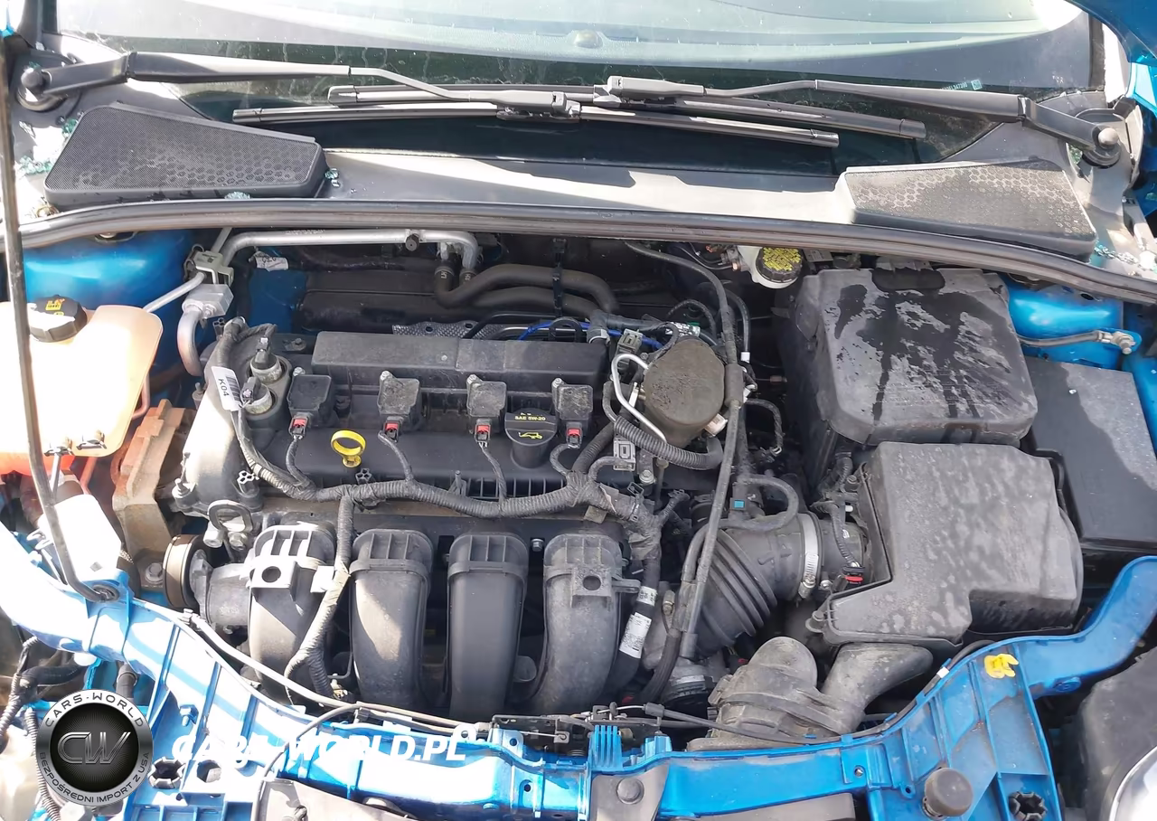 2014 Ford Focus Se VIN:1FADP3F23EL347390 - 10