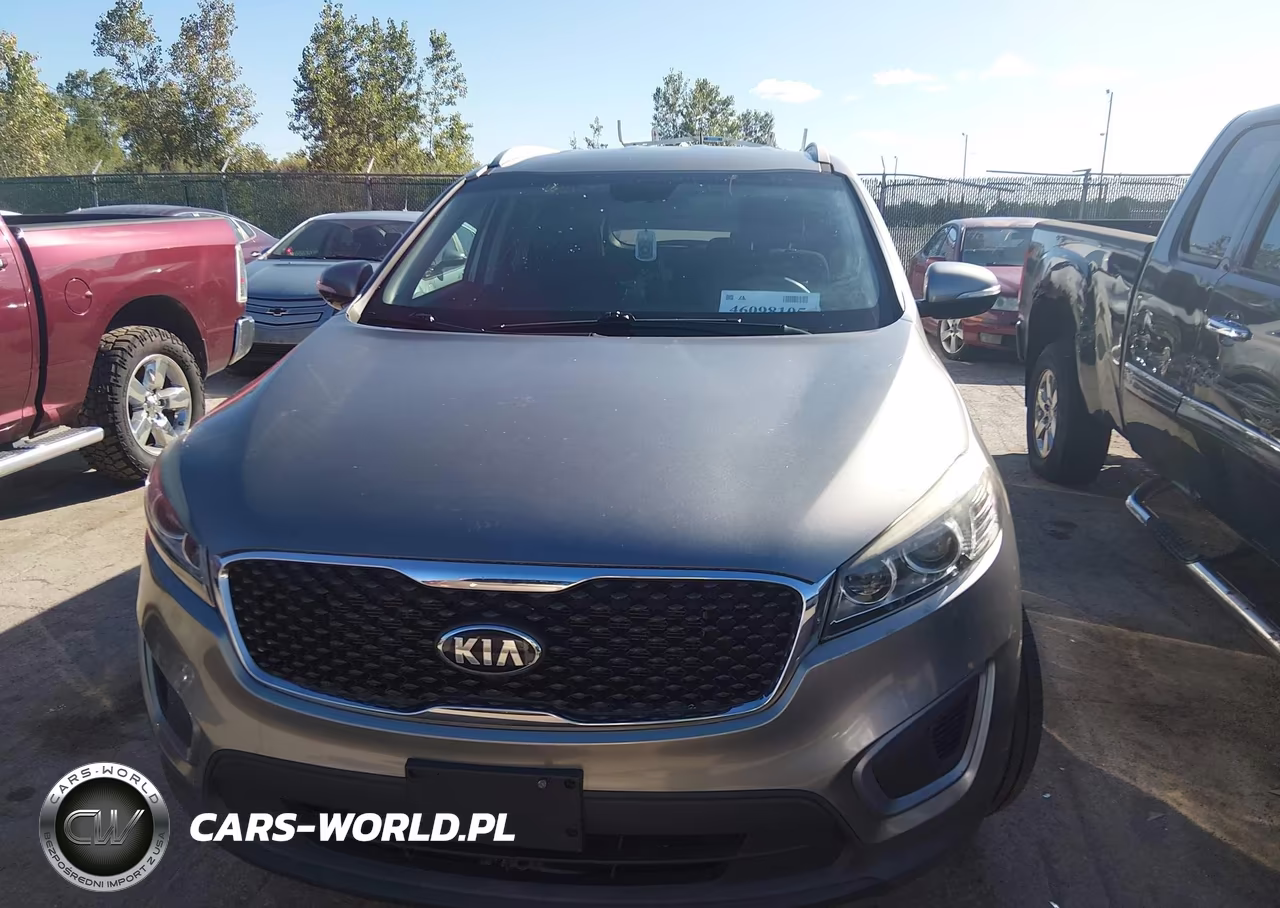 2016 Kia Sorento 3.3L Lx VIN:5XYPGDA56GG135306 - 12