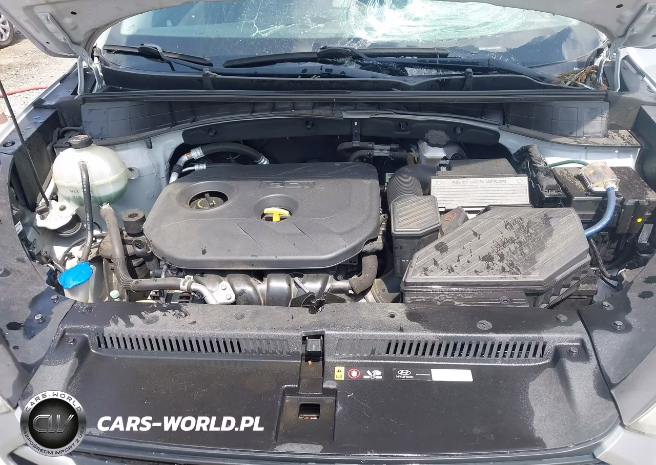 2017 Hyundai Tucson Se VIN:KM8J23A43HU518069 - 10