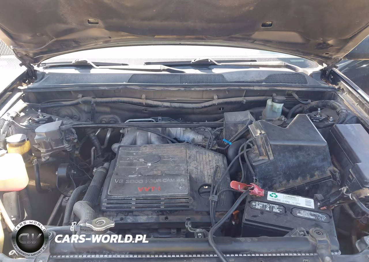 2001 Toyota Highlander V6 VIN:JTEGF21A610023828 - 10