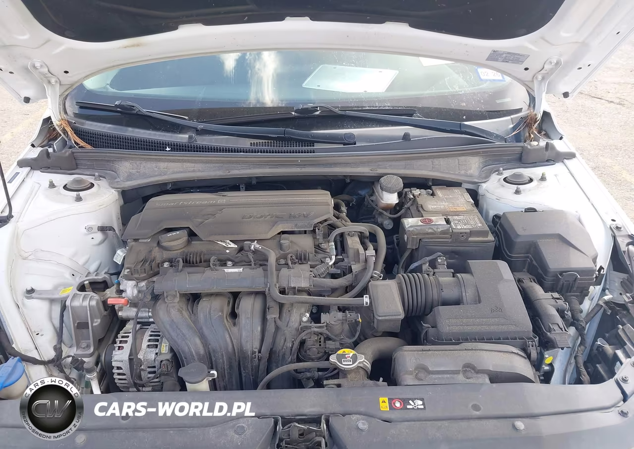 2021 Hyundai Elantra Sel VIN:5NPLM4AG3MH010874 - 10