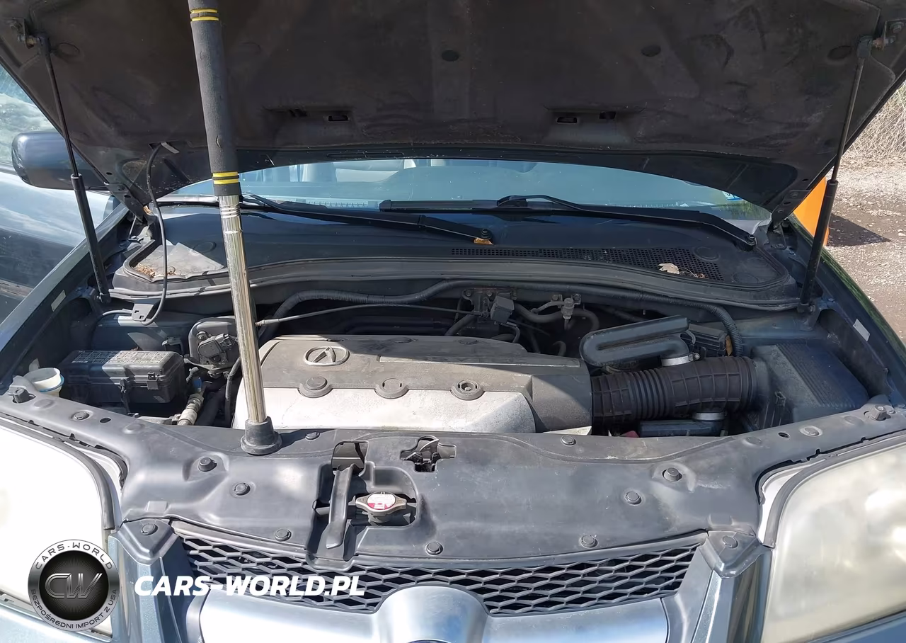 2004 Acura Mdx VIN:2HNYD18804H510691 - 10
