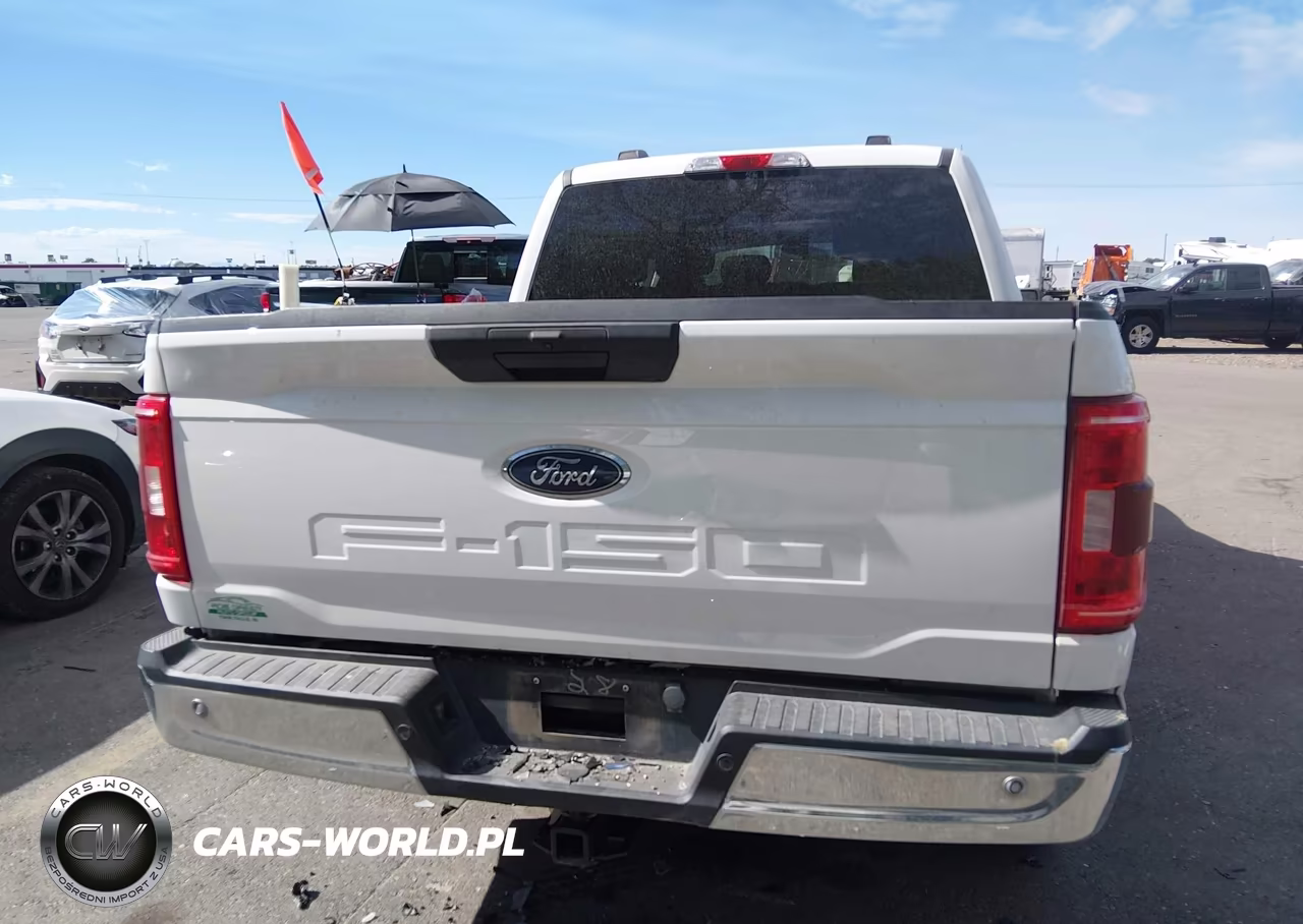 2021 Ford F-150 Xlt VIN:1FTFW1E54MFB44091 - 17