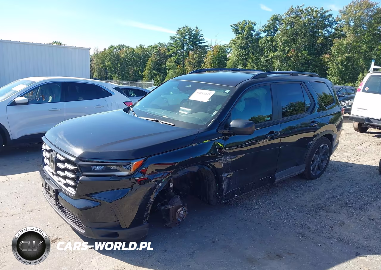 2025 Honda Pilot Sport VIN:5FNYG1H31SB155793 - 2
