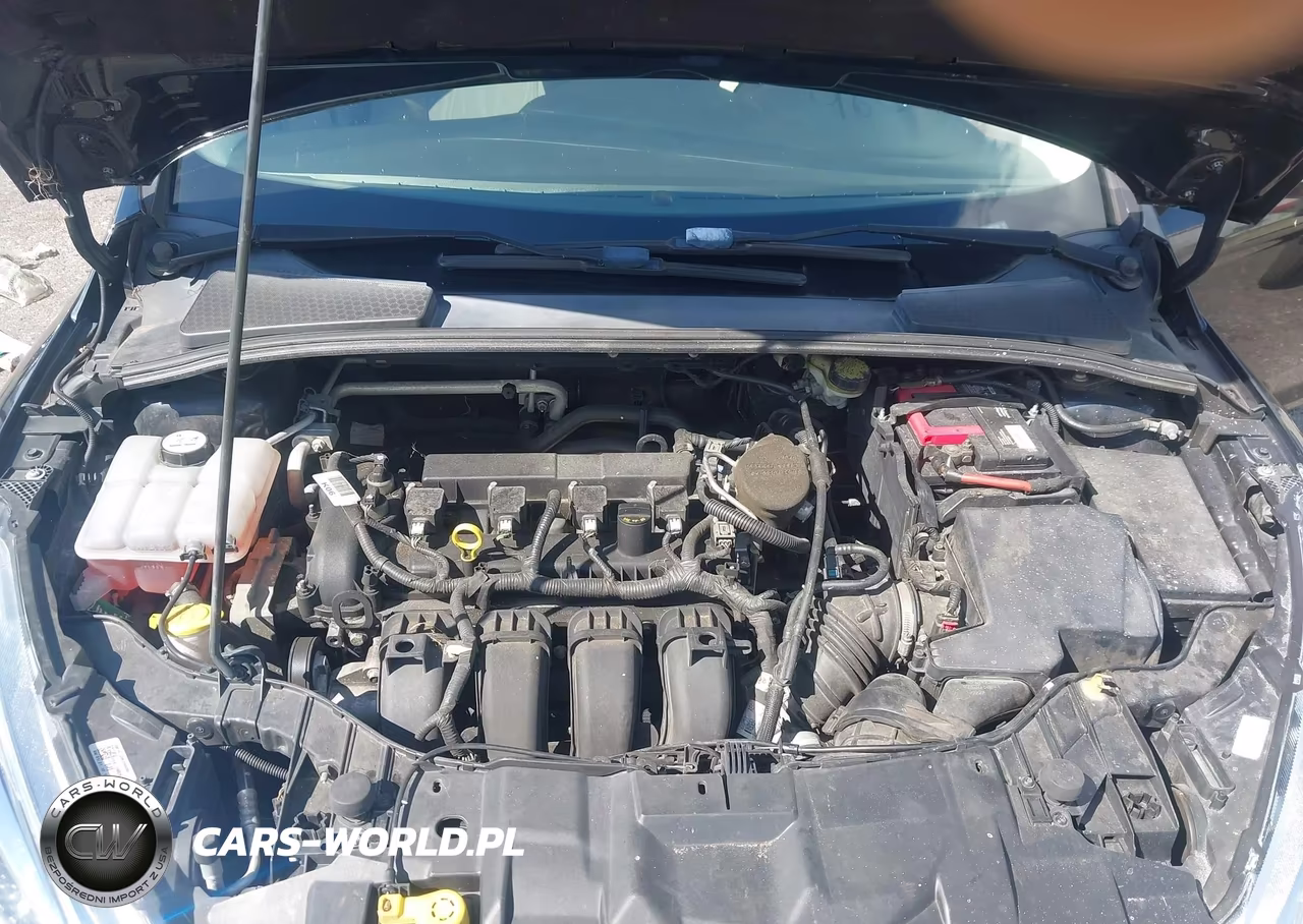 2016 Ford Focus Se VIN:1FADP3F2XGL207100 - 10