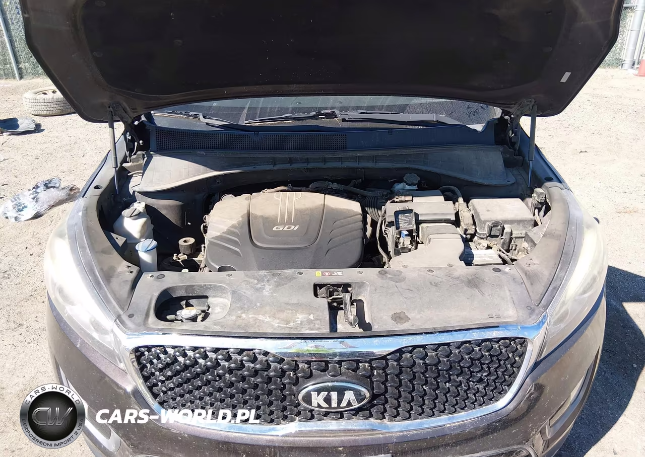 2016 Kia Sorento 3.3L Ex VIN:5XYPH4A52GG132853 - 10