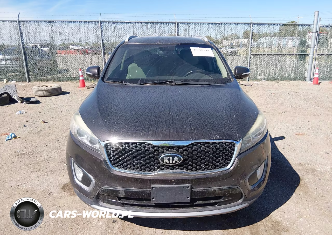2016 Kia Sorento 3.3L Ex VIN:5XYPH4A52GG132853 - 12