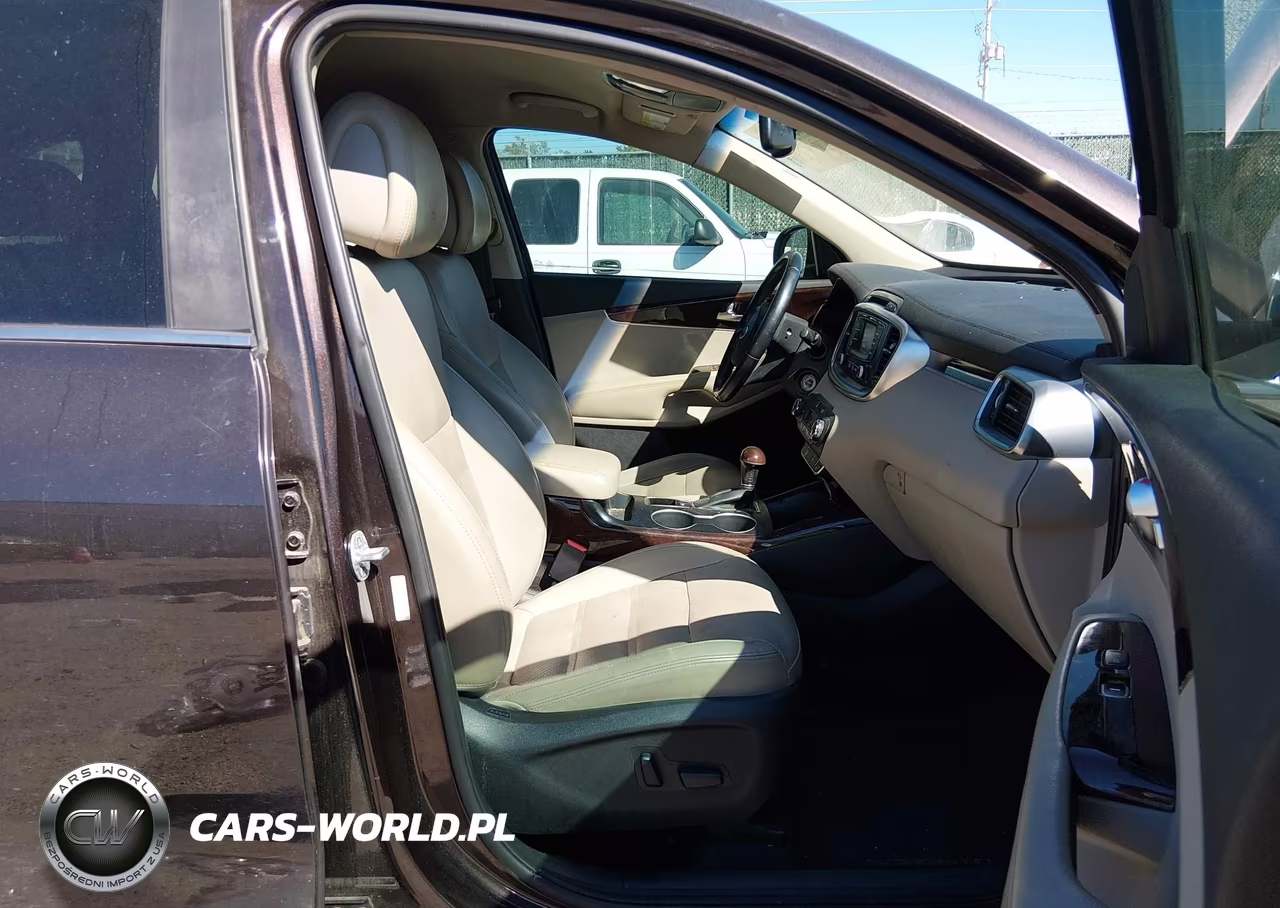 2016 Kia Sorento 3.3L Ex VIN:5XYPH4A52GG132853 - 5
