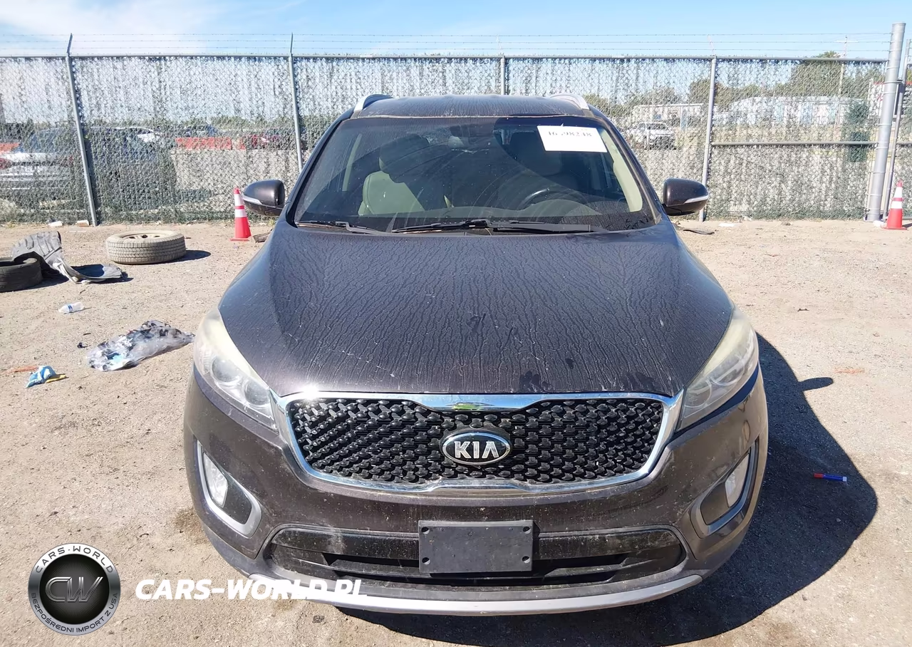 2016 Kia Sorento 3.3L Ex VIN:5XYPH4A52GG132853 - 6