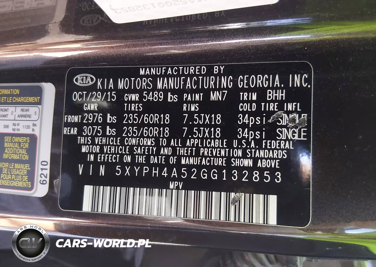 2016 Kia Sorento 3.3L Ex VIN:5XYPH4A52GG132853 - 9