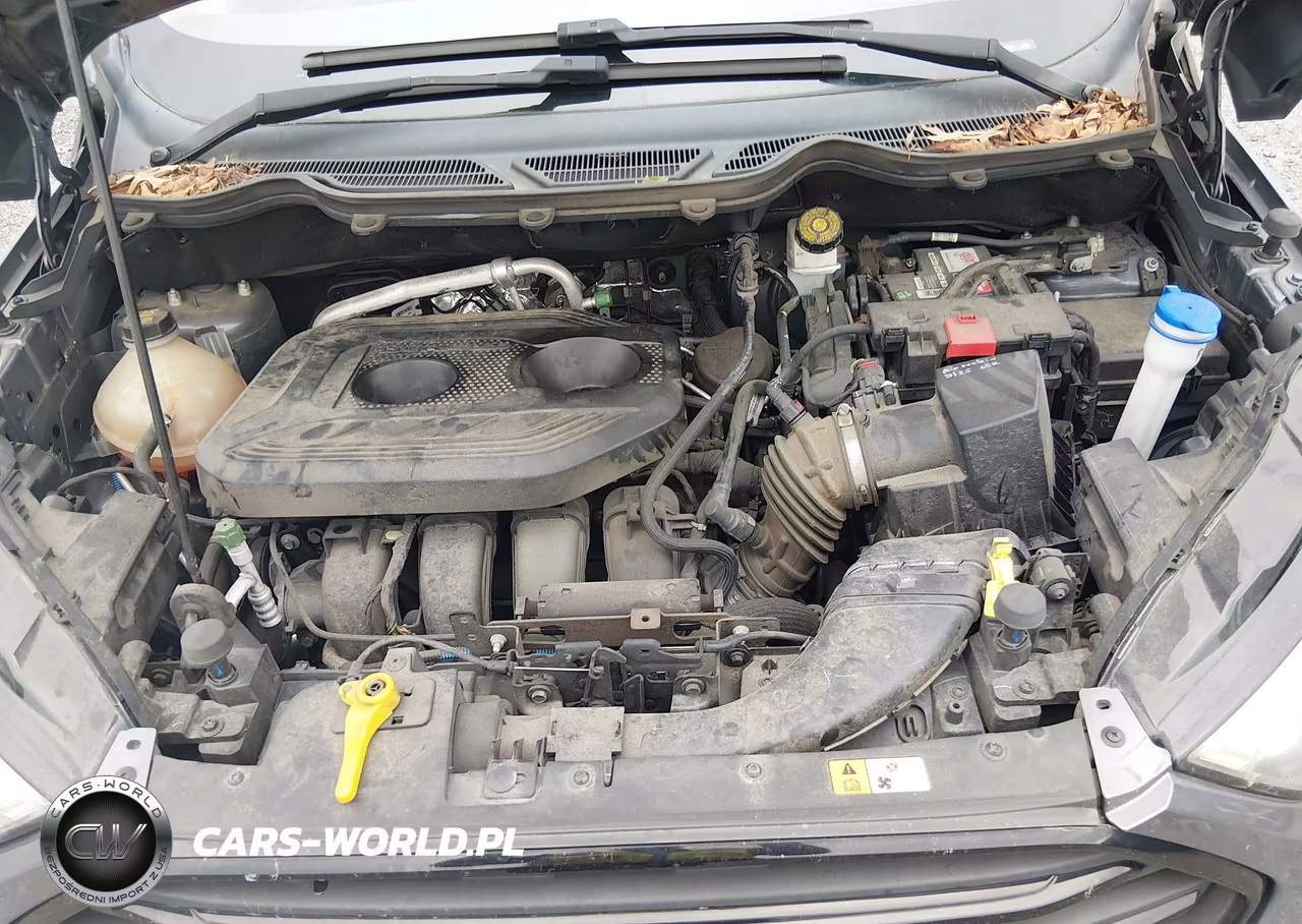 2018 Ford Ecosport S VIN:MAJ6P1SL8JC202478 - 10