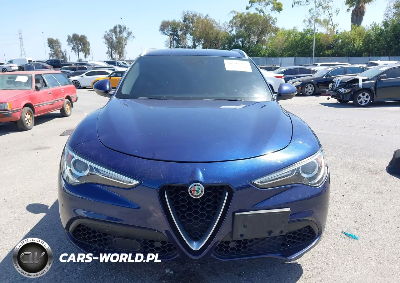 2018 Alfa Romeo Stelvio Awd VIN:ZASFAKAN7J7B85550 - 12