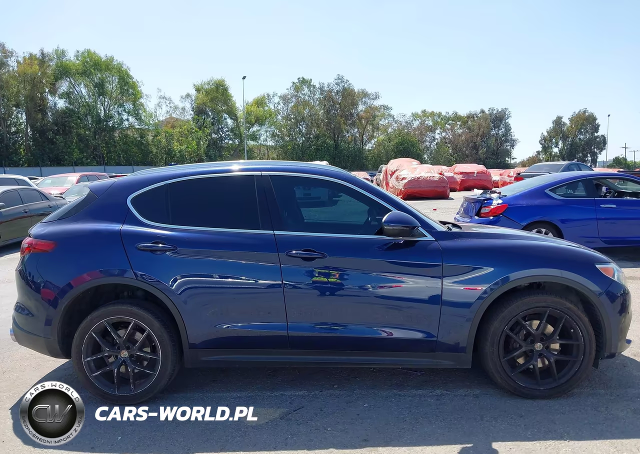 2018 Alfa Romeo Stelvio Awd VIN:ZASFAKAN7J7B85550 - 13