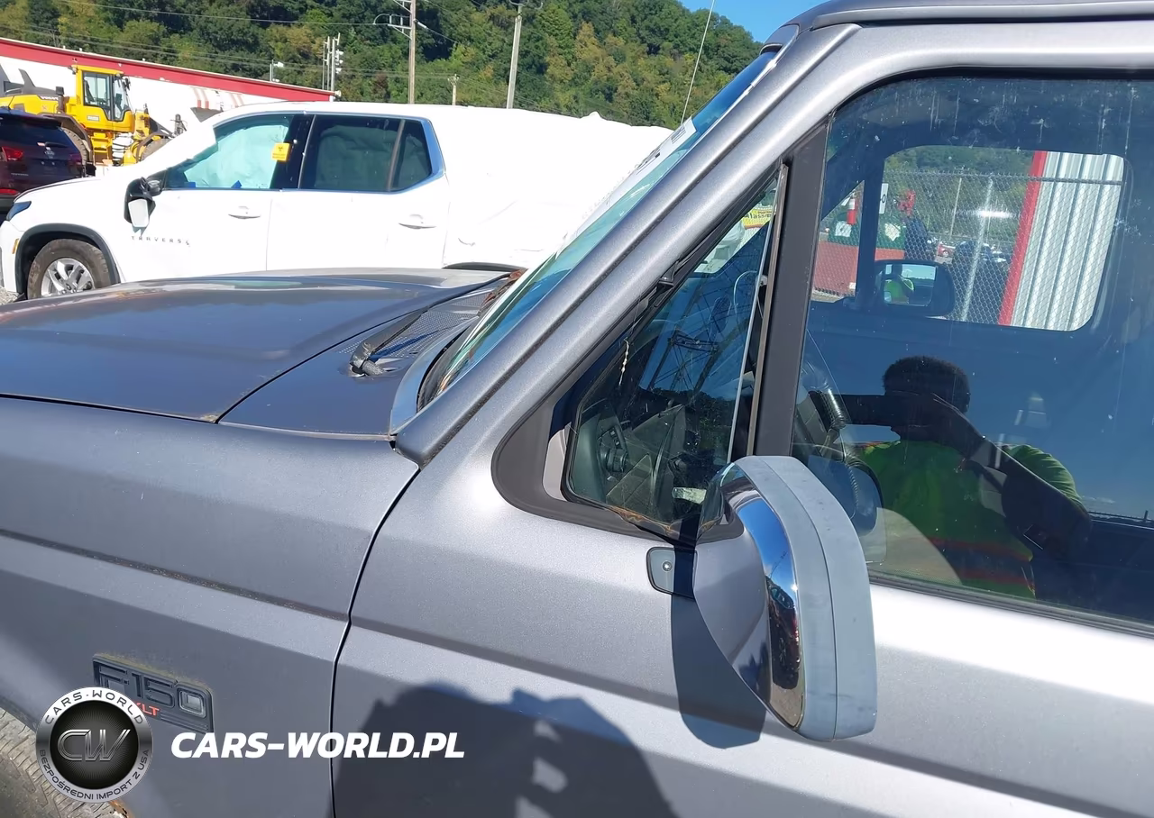 1995 Ford F150 VIN:1FTEF15N6SLB39629 - 13