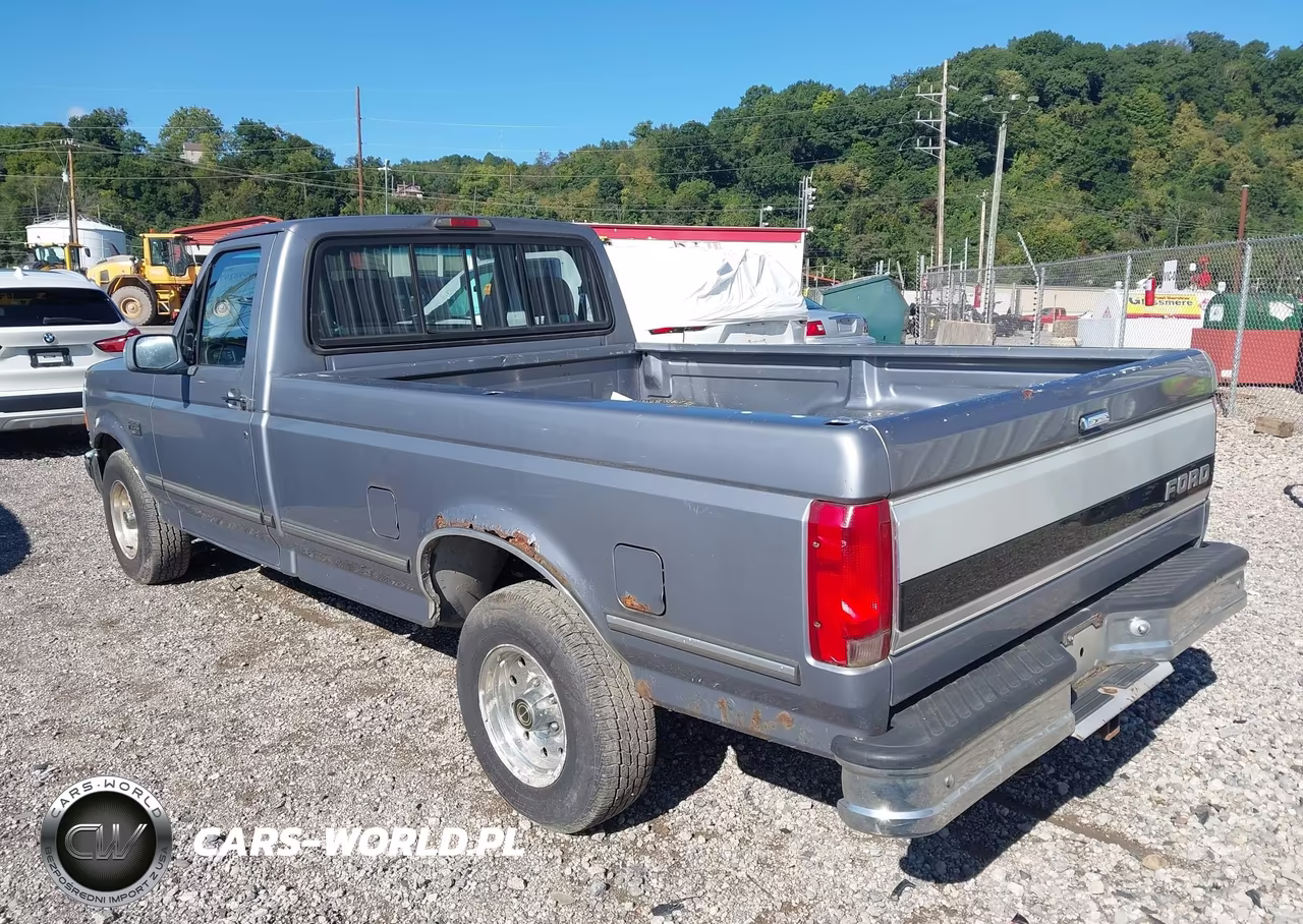 1995 Ford F150 VIN:1FTEF15N6SLB39629 - 3
