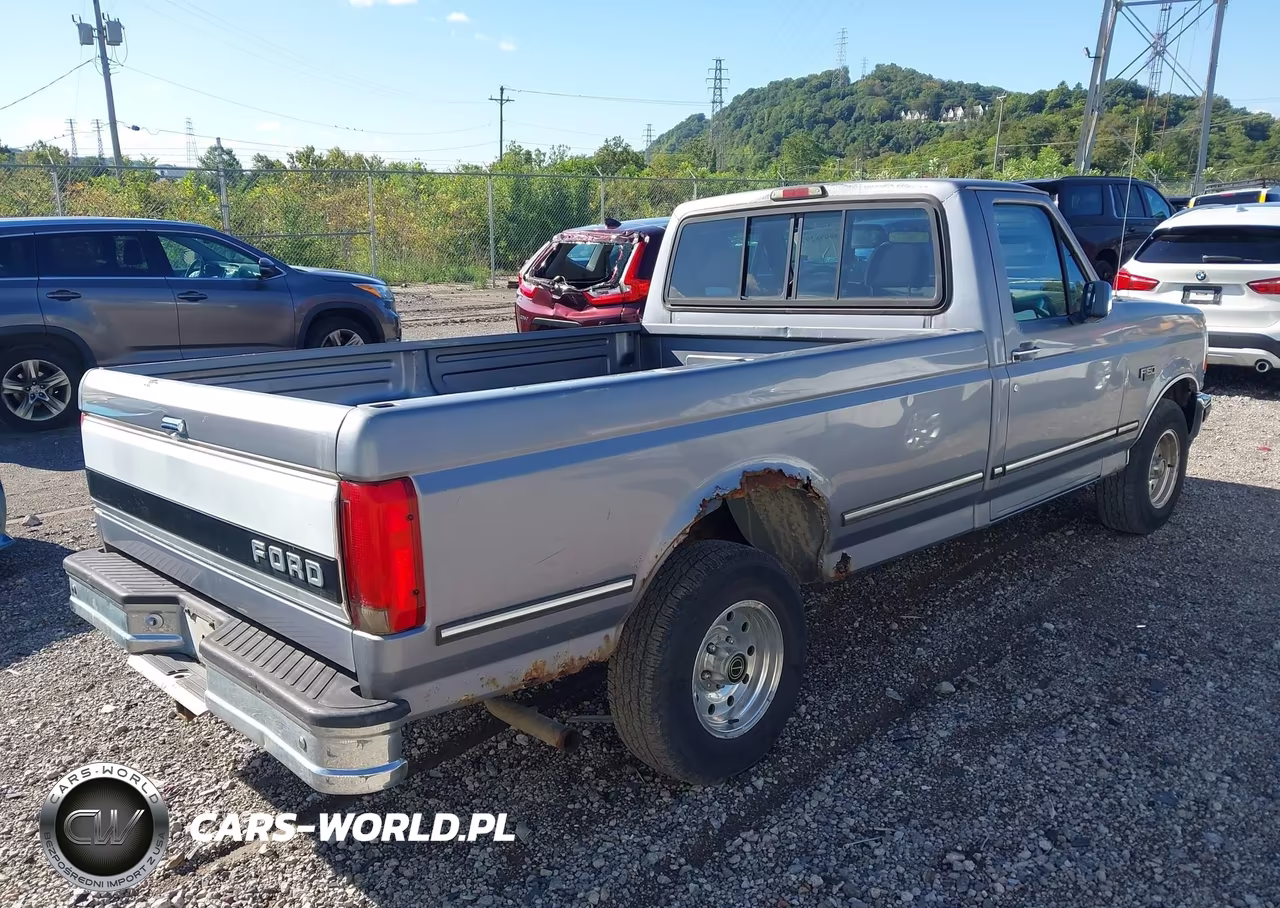 1995 Ford F150 VIN:1FTEF15N6SLB39629 - 4