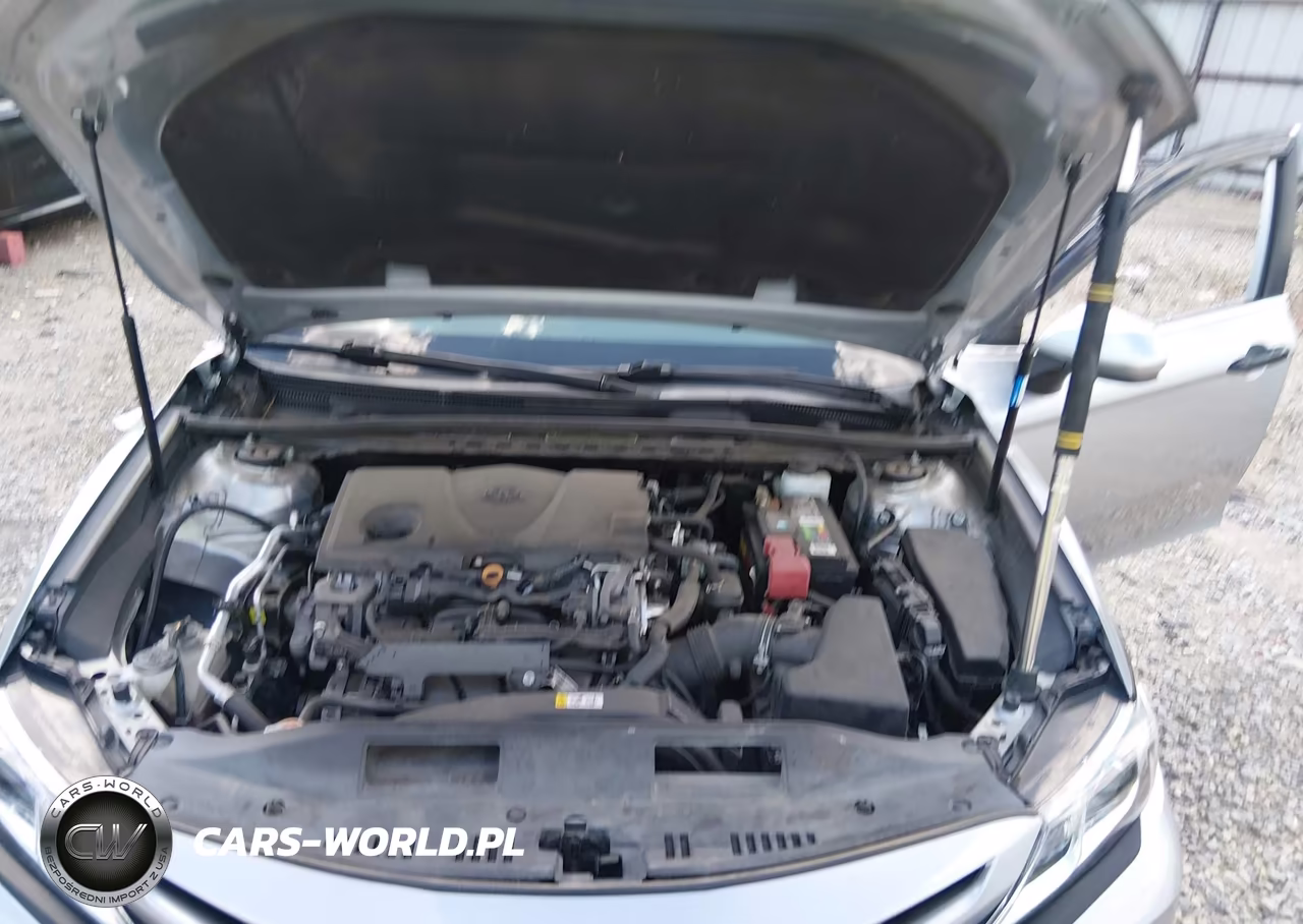 2019 Toyota Camry Se VIN:4T1B11HK4KU803841 - 10