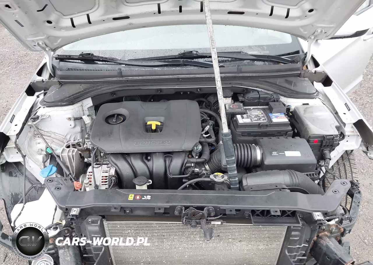 2019 Hyundai Elantra Se VIN:5NPD74LF6KH440959 - 10