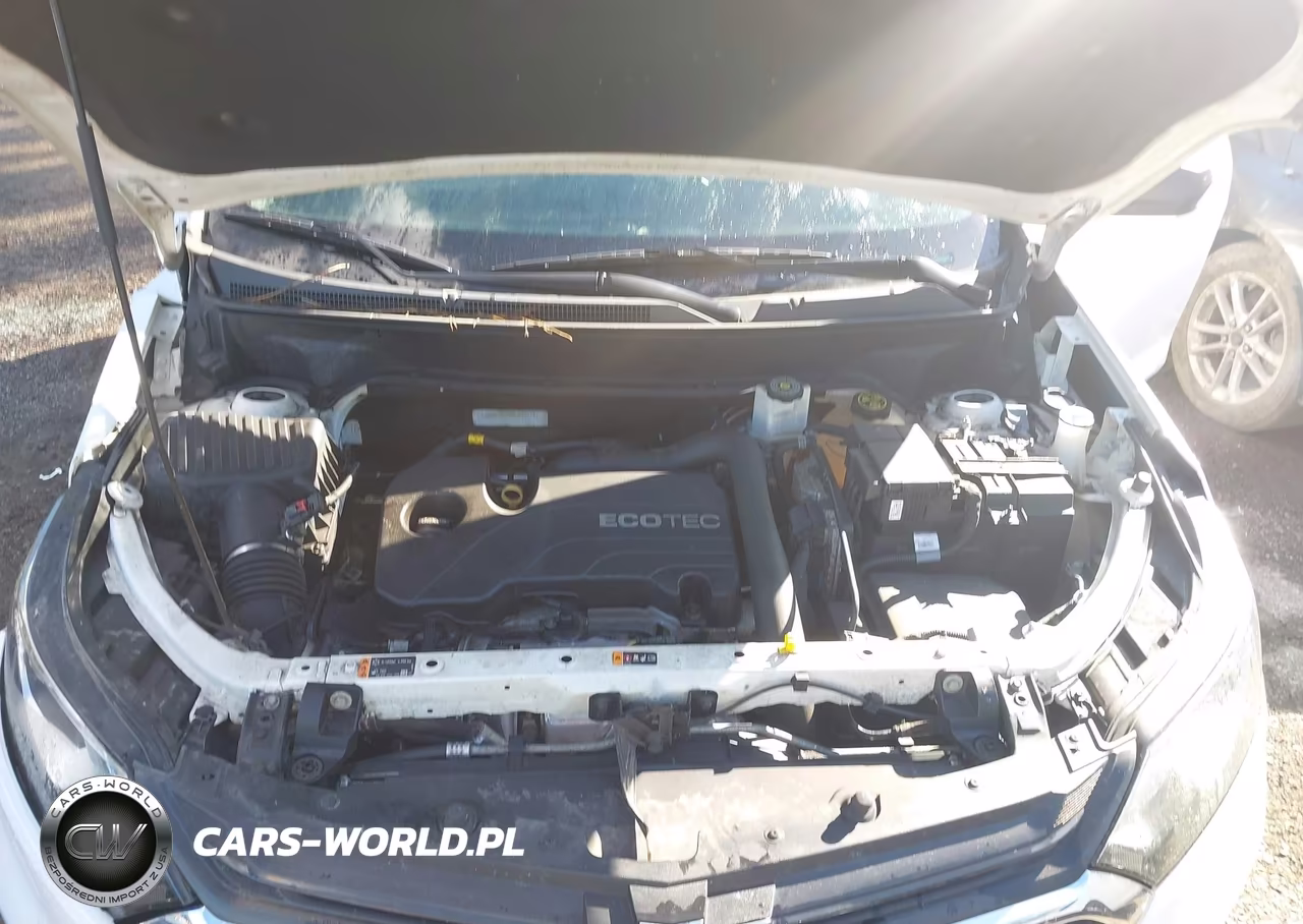 2019 Chevrolet Equinox Ls VIN:3GNAXHEVXKS557777 - 10
