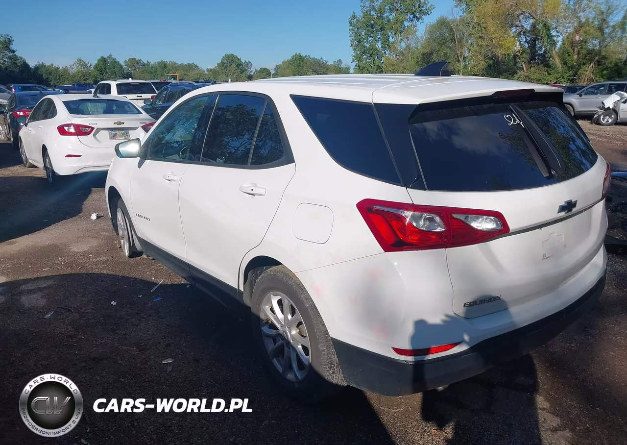 2019 Chevrolet Equinox Ls VIN:3GNAXHEVXKS557777 - 3