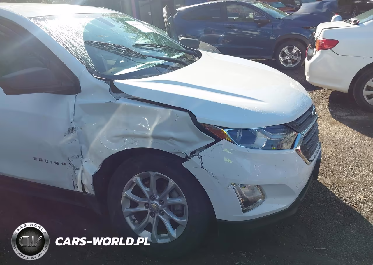 2019 Chevrolet Equinox Ls VIN:3GNAXHEVXKS557777 - 6