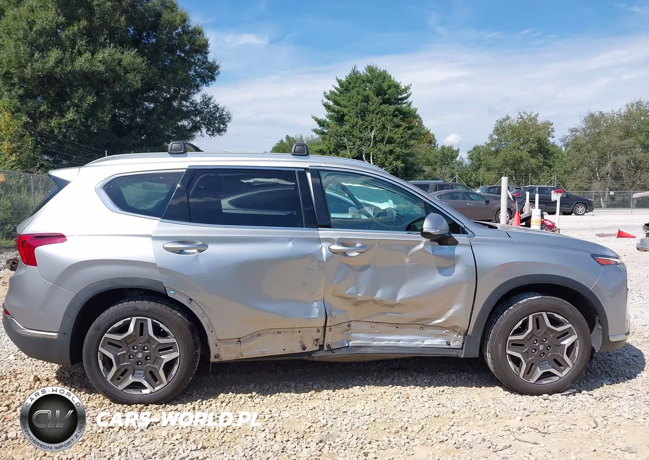 2022 Hyundai Santa Fe Limited VIN:5NMS44AL3NH411333 - 13
