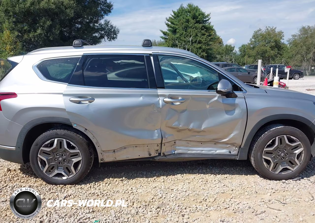 2022 Hyundai Santa Fe Limited VIN:5NMS44AL3NH411333 - 6