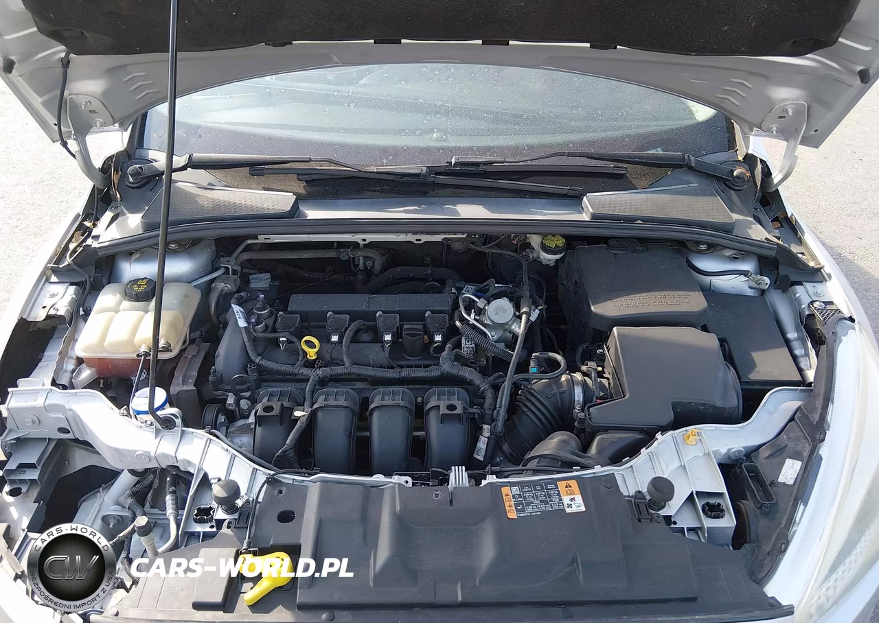 2016 Ford Focus Se VIN:1FADP3F23GL368985 - 10