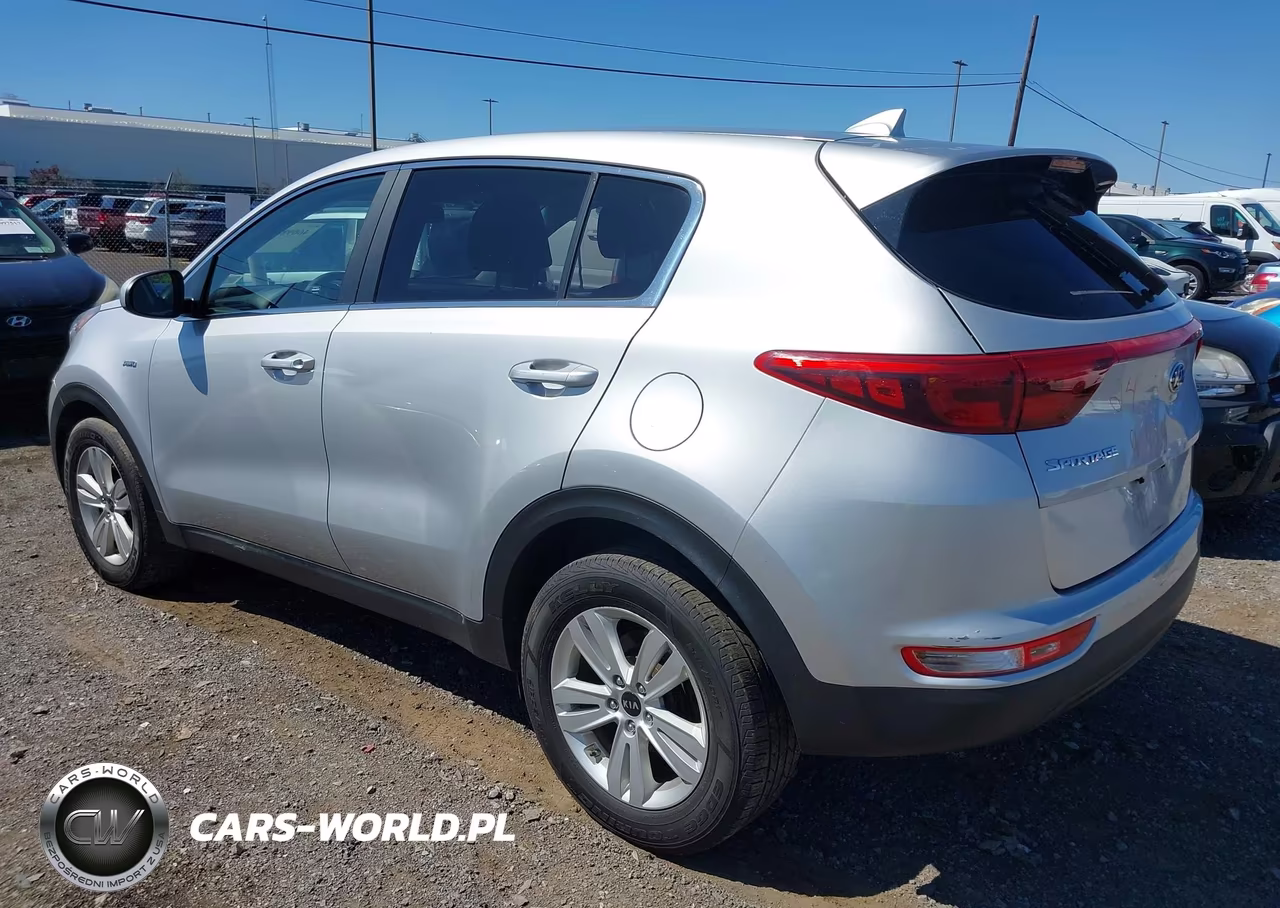 2019 Kia Sportage Lx VIN:KNDPMCAC7K7527542 - 3