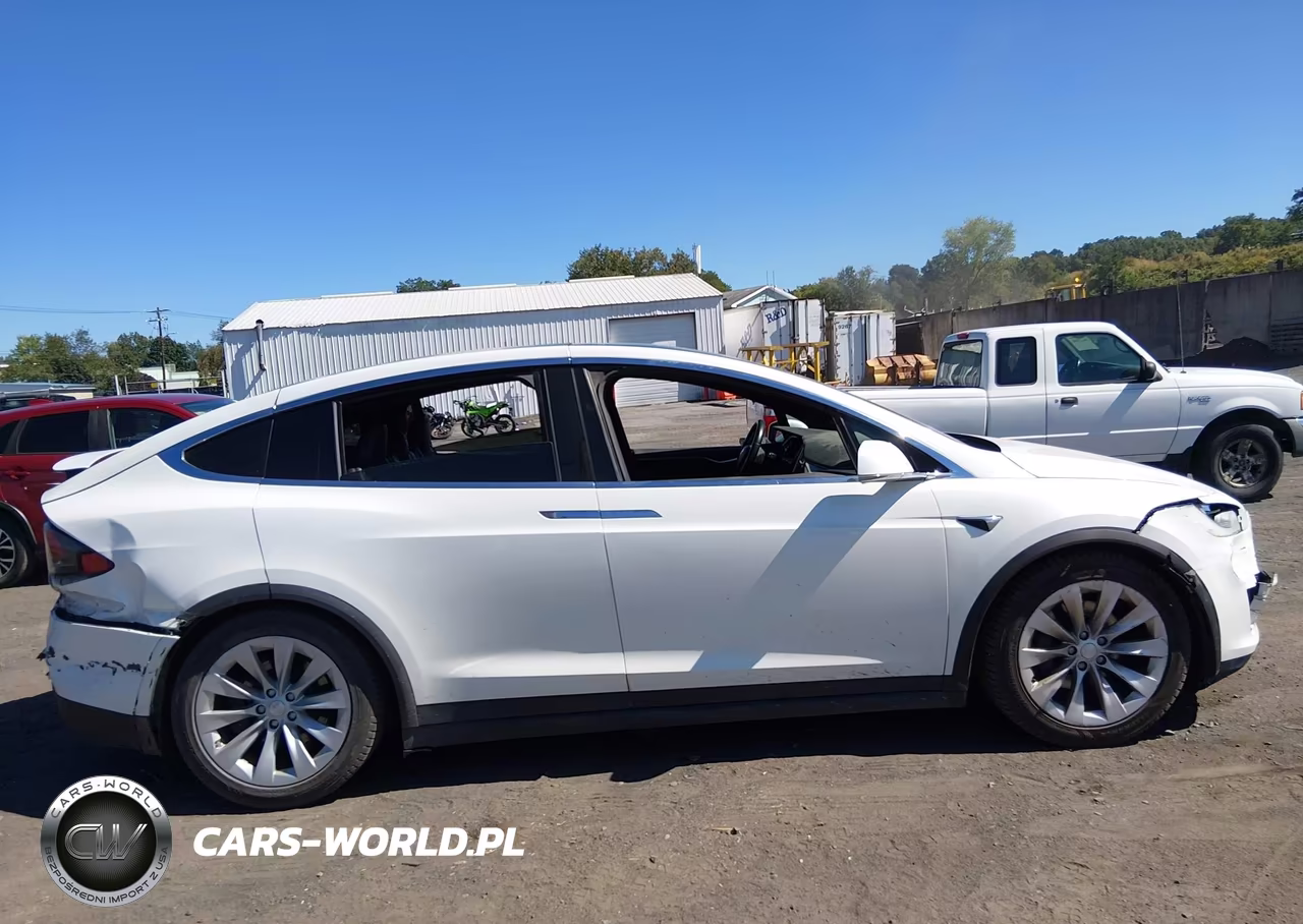2017 Tesla Model X 100D-75D-90D VIN:5YJXCDE28HF077199 - 12