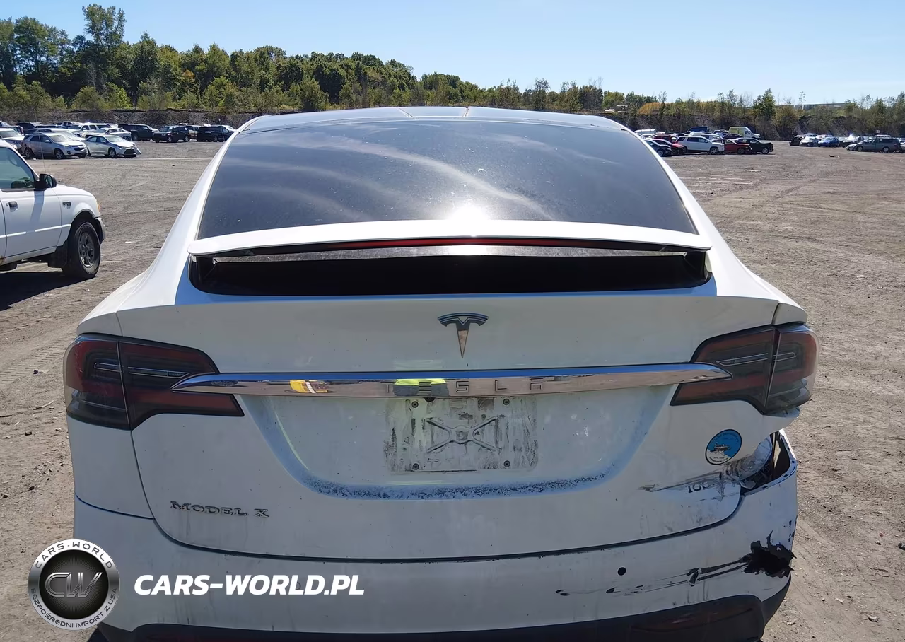 2017 Tesla Model X 100D-75D-90D VIN:5YJXCDE28HF077199 - 15