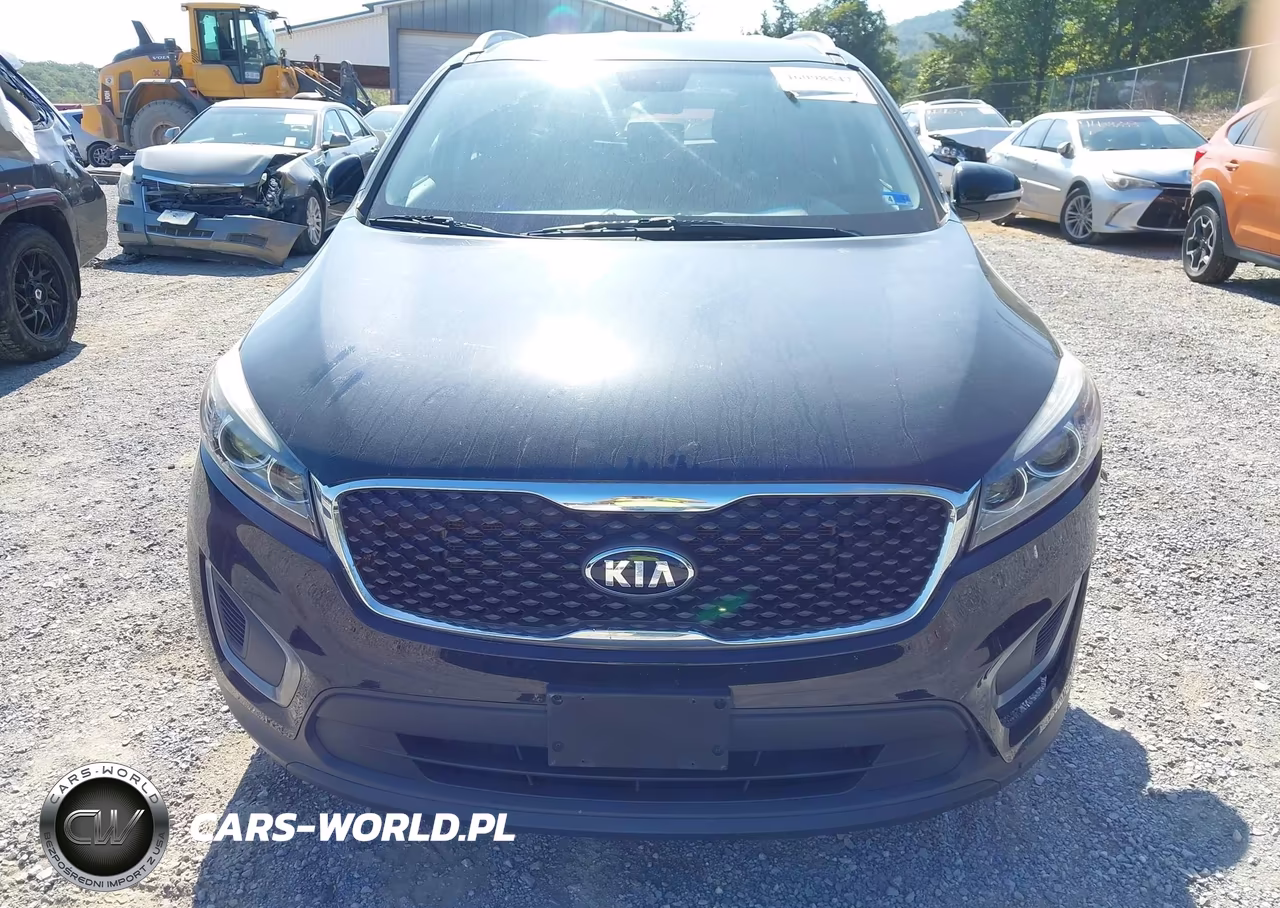 2016 Kia Sorento 2.4L Lx VIN:5XYPG4A3XGG164564 - 13