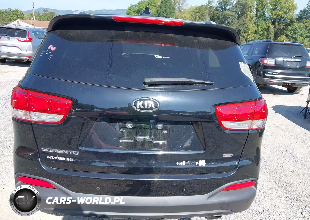 2016 Kia Sorento 2.4L Lx VIN:5XYPG4A3XGG164564 - 17