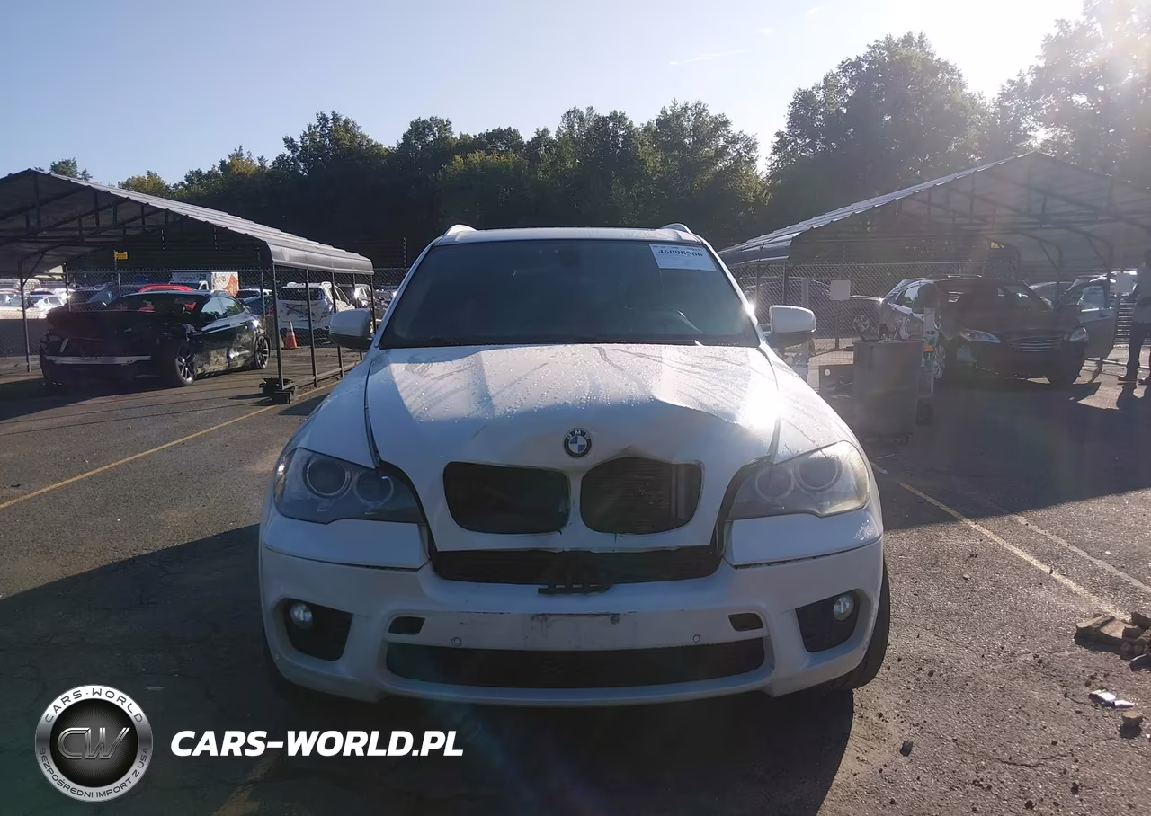 2012 BMW X5 xDrive35I-xDrive35I Premium-xDrive35I Sport Activity VIN:5UXZV4C5XCL985030 - 12