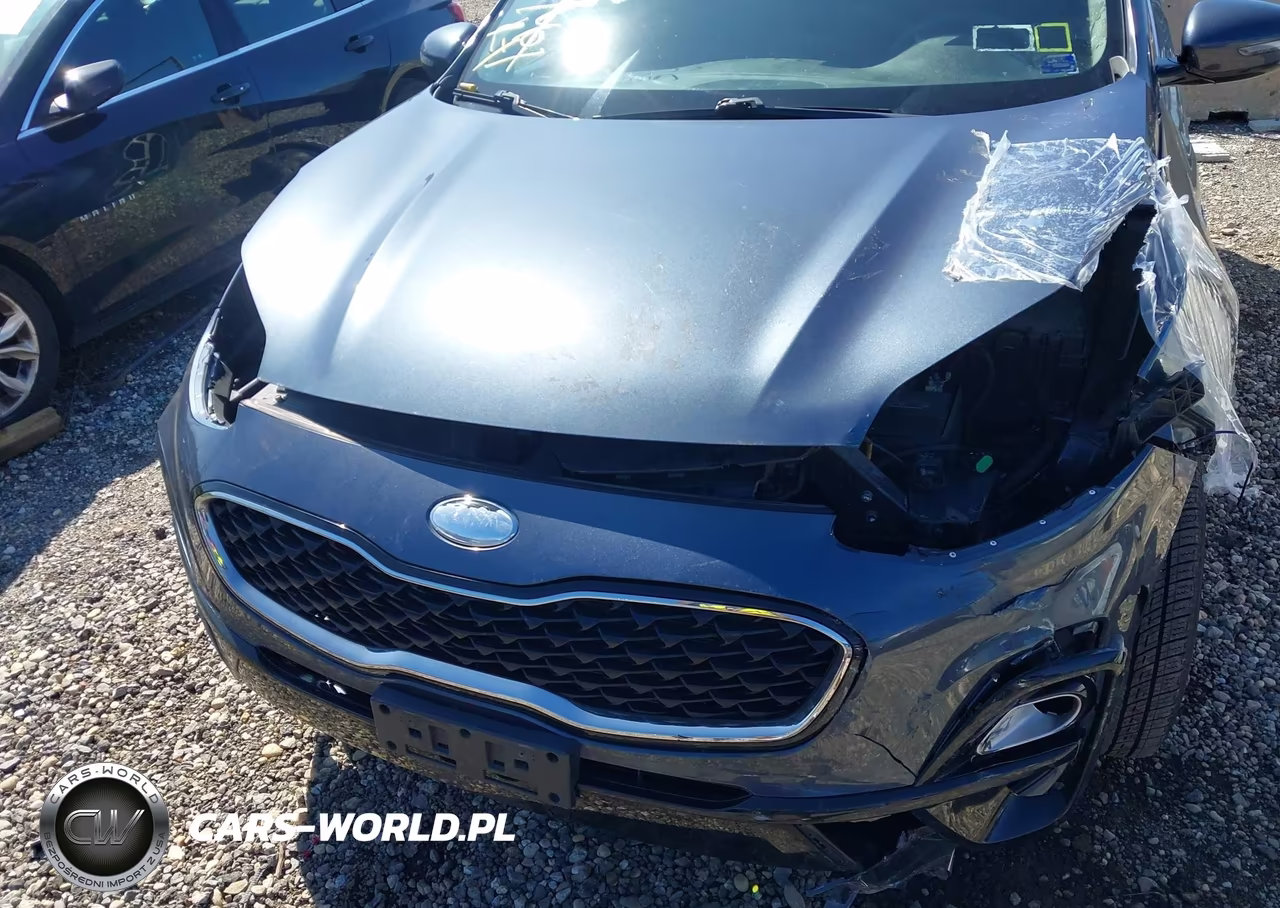 2020 Kia Sportage Lx VIN:KNDPMCAC8L7666452 - 6