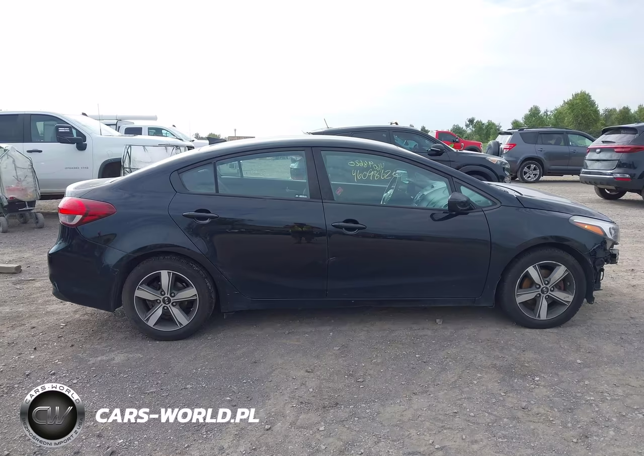 2018 Kia Forte Lx VIN:3KPFL4A79JE173352 - 12