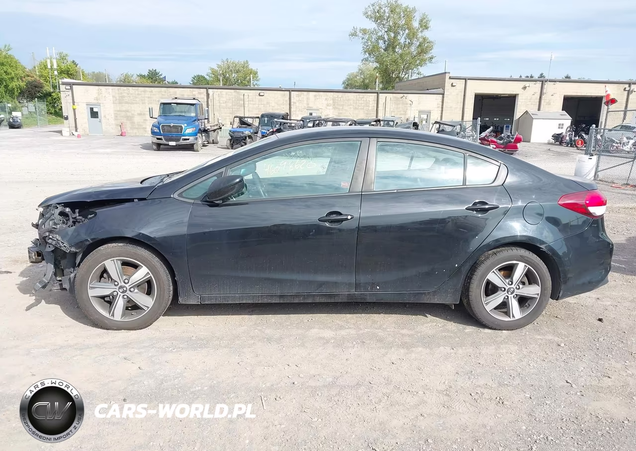 2018 Kia Forte Lx VIN:3KPFL4A79JE173352 - 13