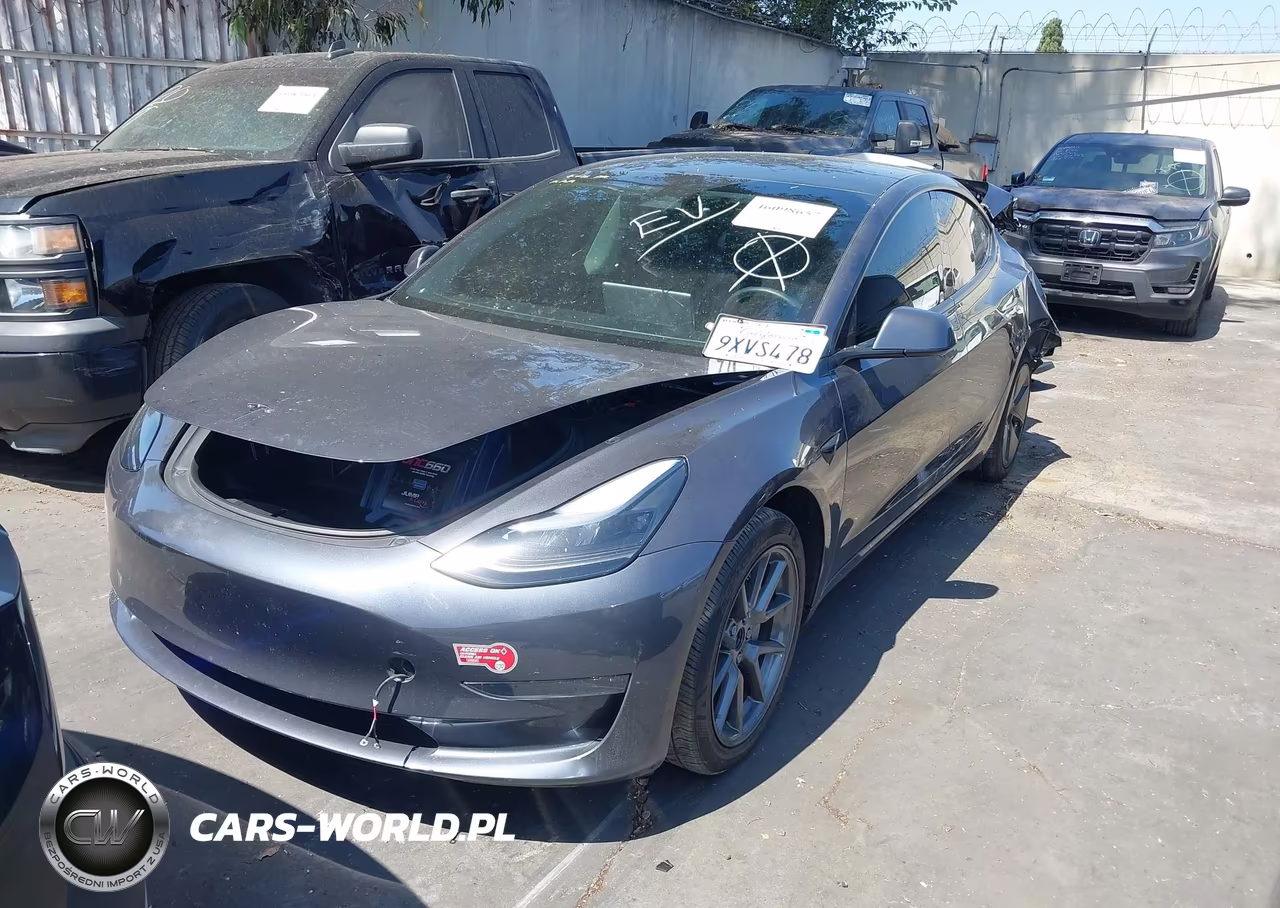 2023 Tesla Model 3 Rear-Wheel Drive VIN:5YJ3E1EA7PF699953 - 2