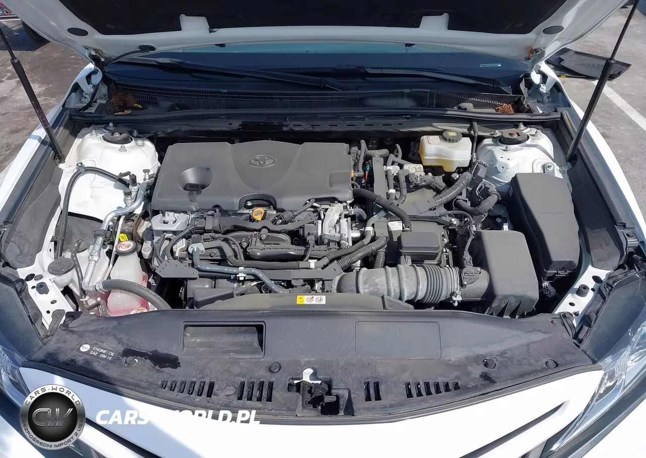 2020 Toyota Camry Se Hybrid VIN:4T1J31AK8LU534888 - 10