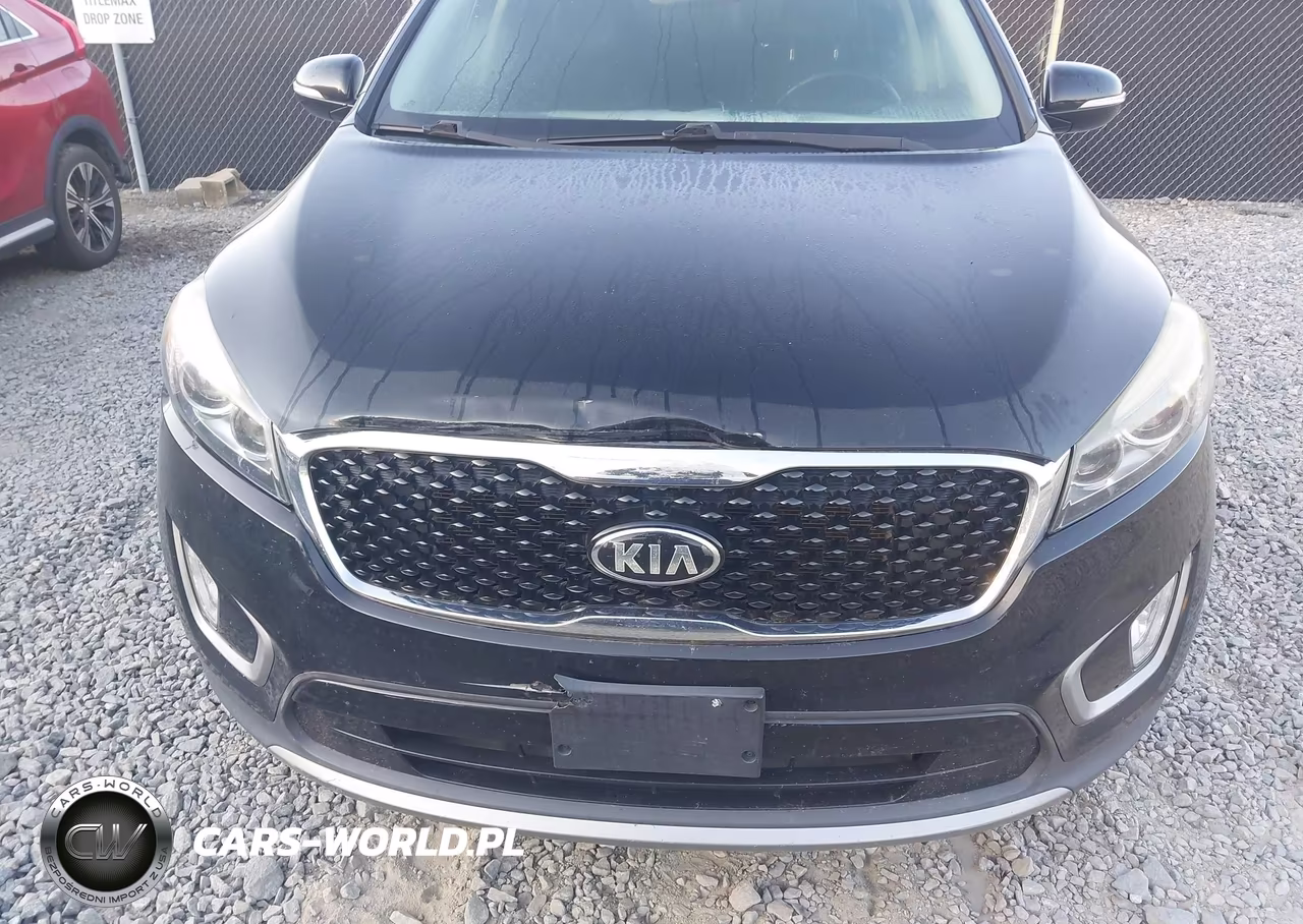 2016 Kia Sorento 3.3L Ex VIN:5XYPH4A53GG103782 - 12