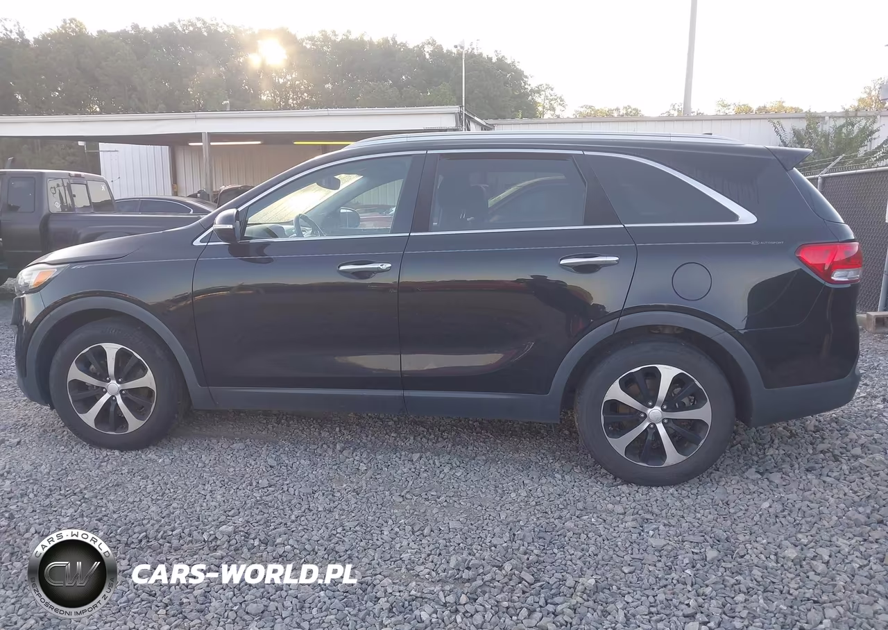 2016 Kia Sorento 3.3L Ex VIN:5XYPH4A53GG103782 - 14