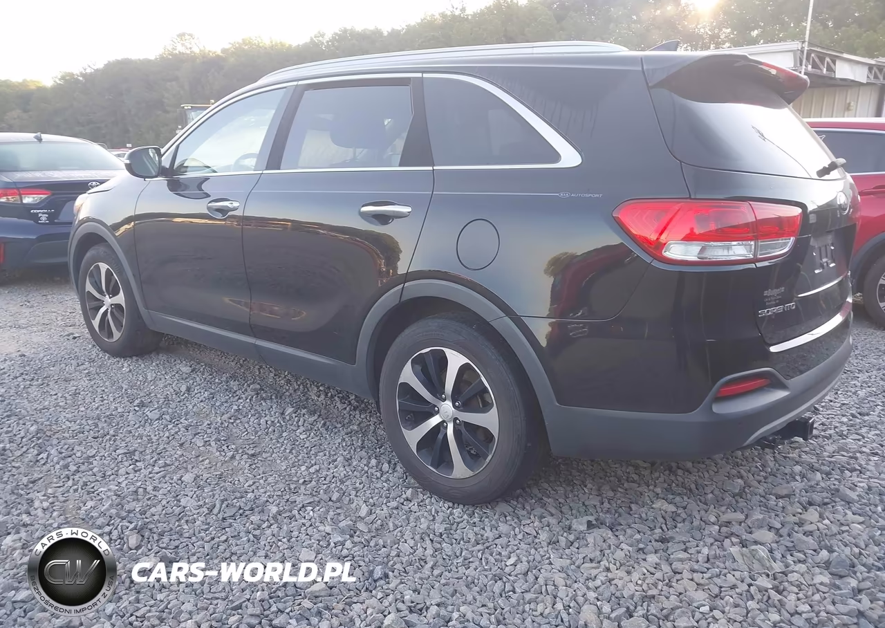 2016 Kia Sorento 3.3L Ex VIN:5XYPH4A53GG103782 - 3