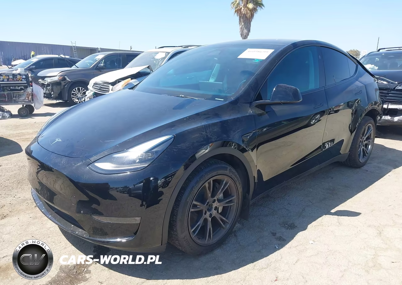 2024 Tesla Model Y Long Range Dual Motor All-Wheel Drive VIN:7SAYGDEE6RA232840 - 2
