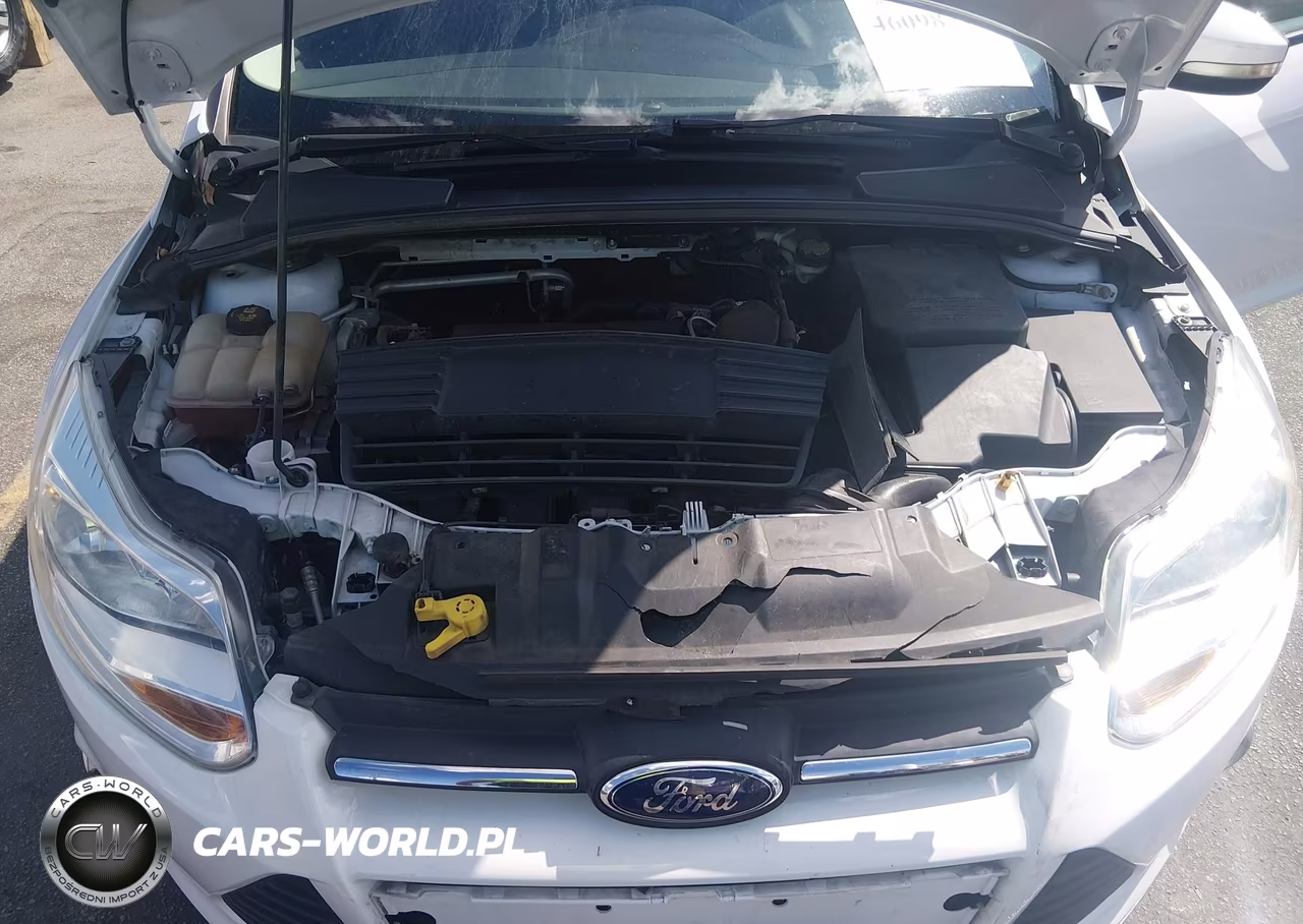 2014 Ford Focus Se VIN:1FADP3K2XEL296721 - 10