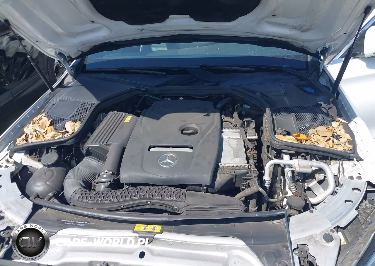 2018 Mercedes-Benz C 300 VIN:55SWF4JB1JU253586 - 10