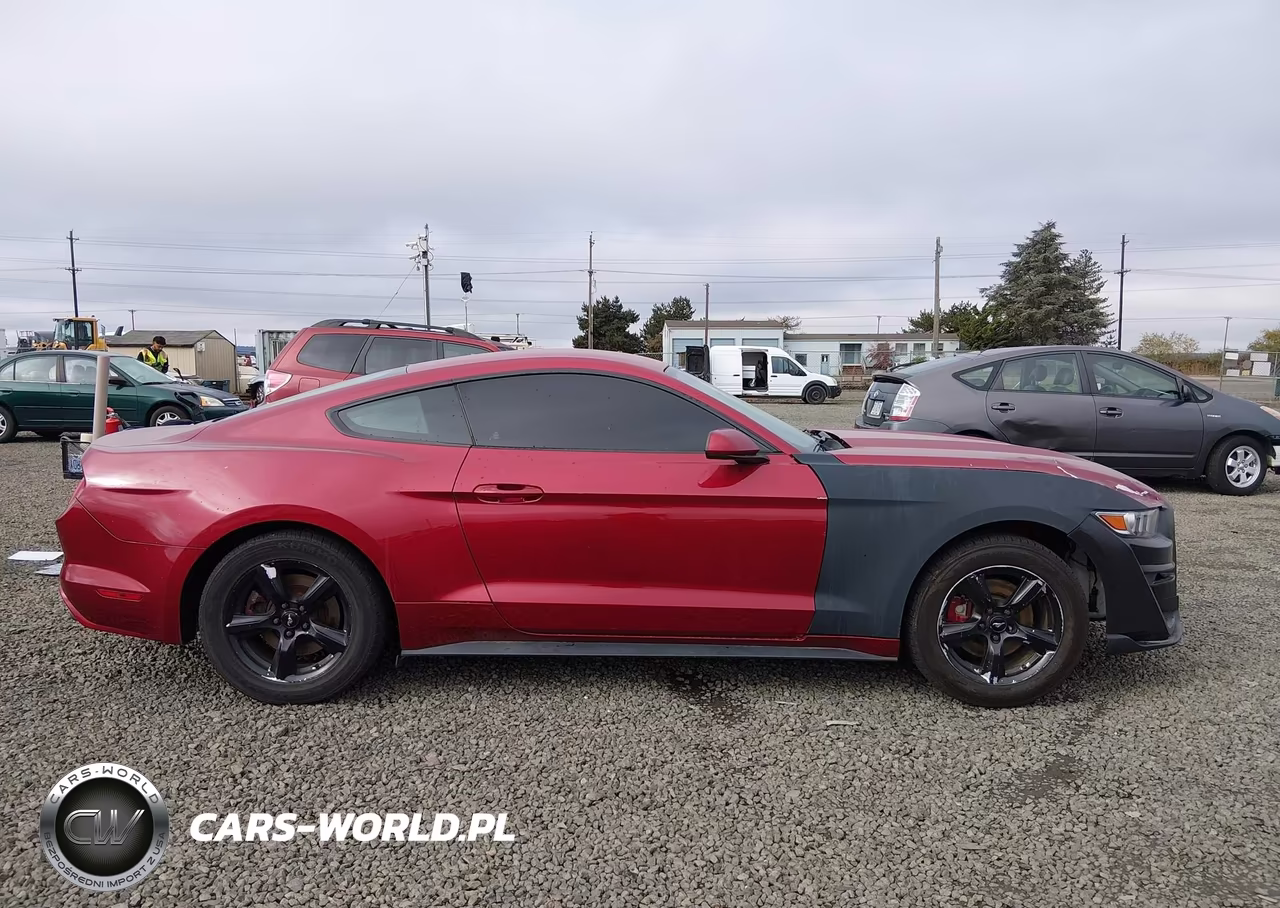 2017 Ford Mustang V6 VIN:1FA6P8AM6H5310101 - 14