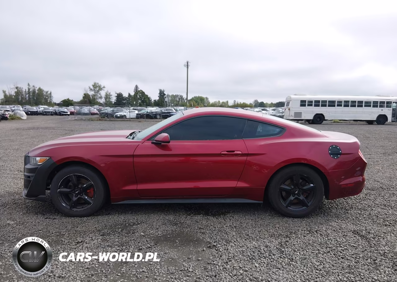 2017 Ford Mustang V6 VIN:1FA6P8AM6H5310101 - 15