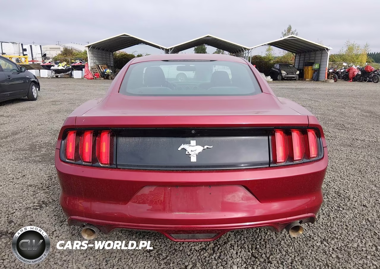 2017 Ford Mustang V6 VIN:1FA6P8AM6H5310101 - 17